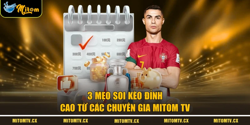 3 mẹo soi kèo đỉnh cao từ các chuyên gia Mitom TV
