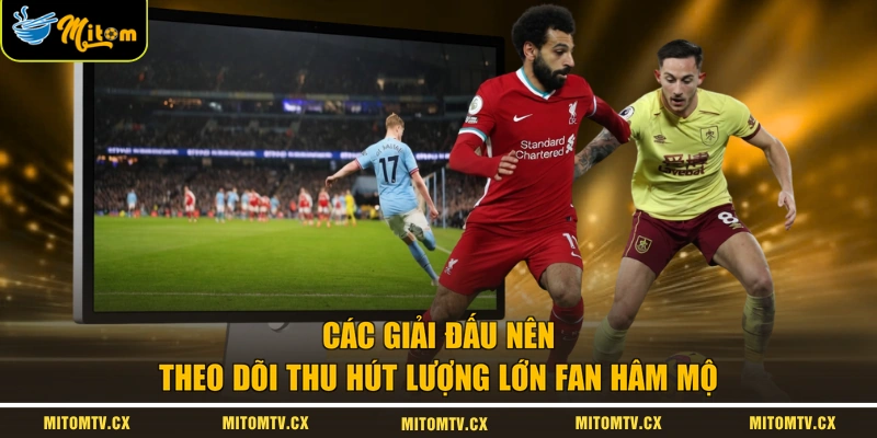 Các giải đấu nên theo dõi thu hút lượng lớn fan hâm mộ