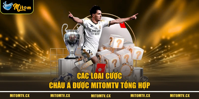 Các loại cược châu Á được MITOMTV tổng hợp