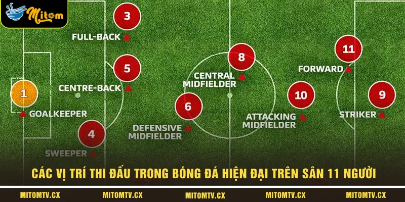 Các vị trí thi đấu trong bóng đá hiện đại trên sân 11 người 
