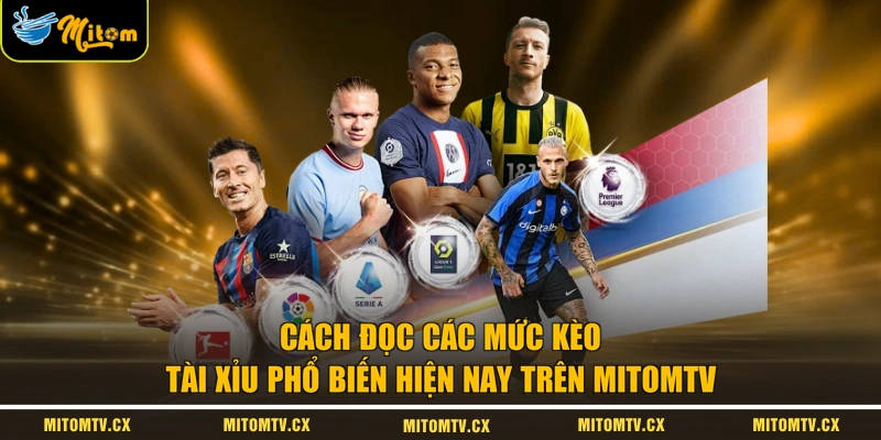 Cách đọc các mức kèo tài xỉu phổ biến hiện nay trên MITOMTV