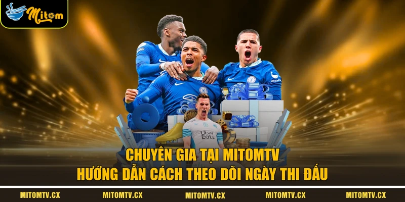 Chuyên gia tại MITOMTV hướng dẫn cách theo dõi ngày thi đấu