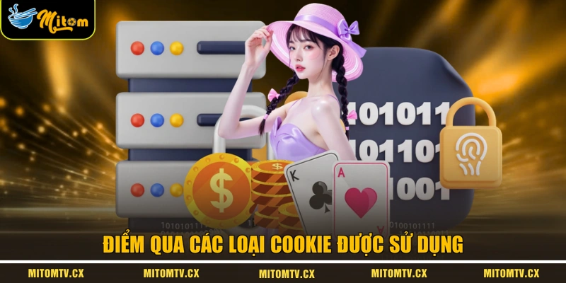 Điểm qua các loại cookie được sử dụng