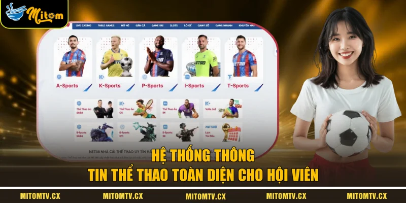  Hệ thống thông tin thể thao toàn diện cho hội viên