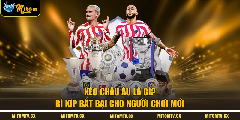 Kèo Châu Âu Là Gì? Bí Kíp Bất Bại Cho Người Chơi Mới