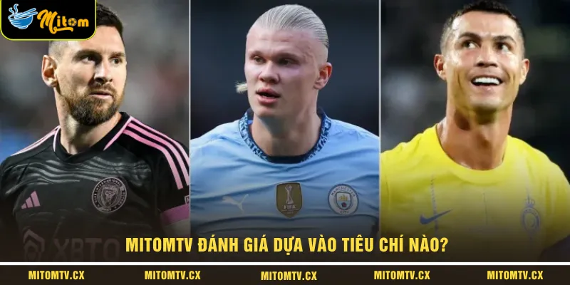 MITOMTV đánh giá dựa vào tiêu chí nào?