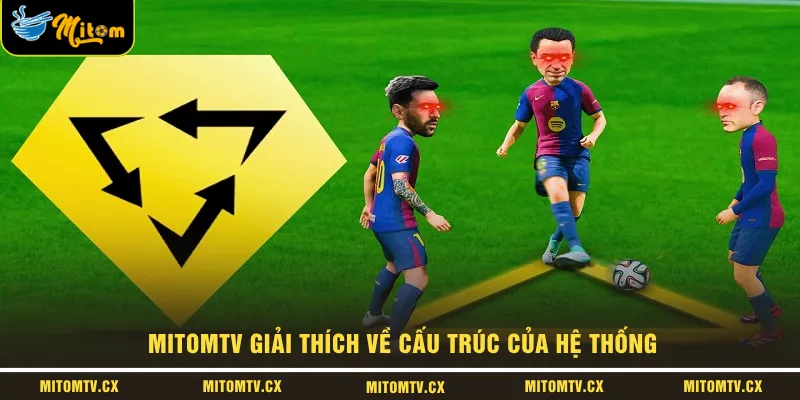 MITOMTV giải thích về cấu trúc của hệ thống