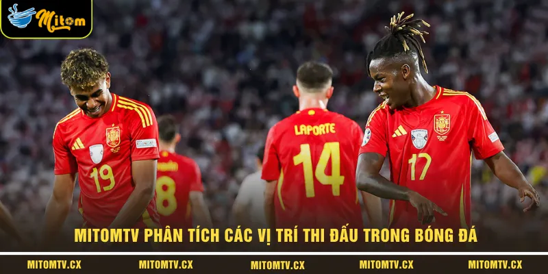 MITOMTV phân tích các vị trí thi đấu trong bóng đá 