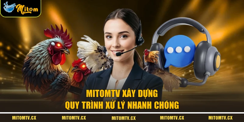 MITOMTV xây dựng quy trình xử lý nhanh chóng
