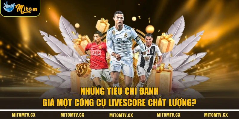 Những tiêu chí đánh giá một công cụ livescore chất lượng?