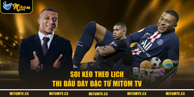 Soi kèo theo lịch thi đấu dày đặc từ Mitom TV